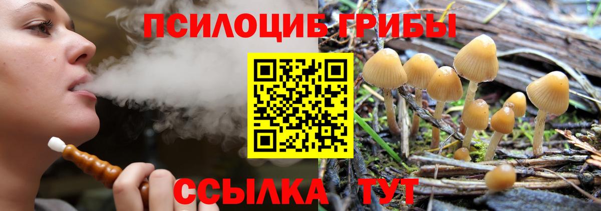 Псилоцибиновые грибы прущие грибы  Псилоцибиновые грибы Magic Shrooms  цены наркотик  Вход с VPN  Ноябрьск 